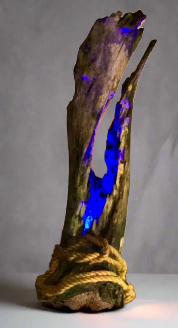 Oceanfire Driftwood Lamp